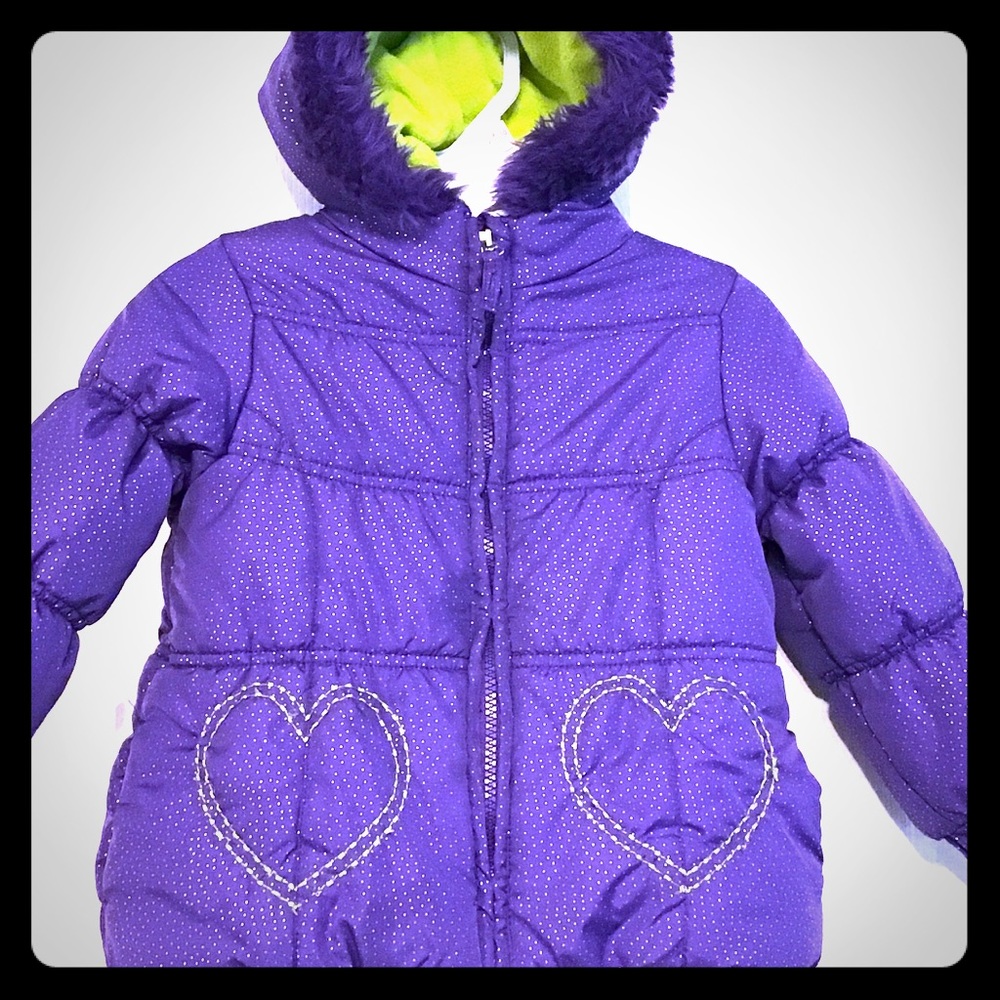 Protection System Hooded Puffer ~ 3T